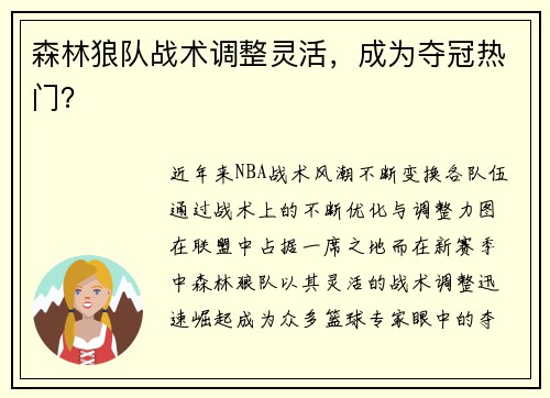 森林狼队战术调整灵活，成为夺冠热门？