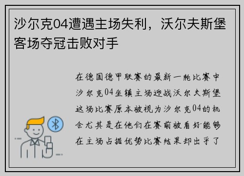 沙尔克04遭遇主场失利，沃尔夫斯堡客场夺冠击败对手