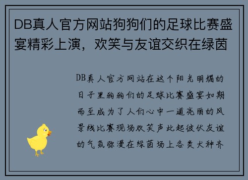 DB真人官方网站狗狗们的足球比赛盛宴精彩上演，欢笑与友谊交织在绿茵场上